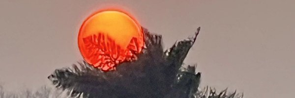 LuisMaGaMo Profile Banner