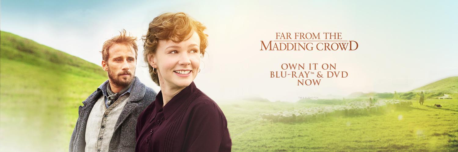 TheMaddingCrowd's profile banner image
