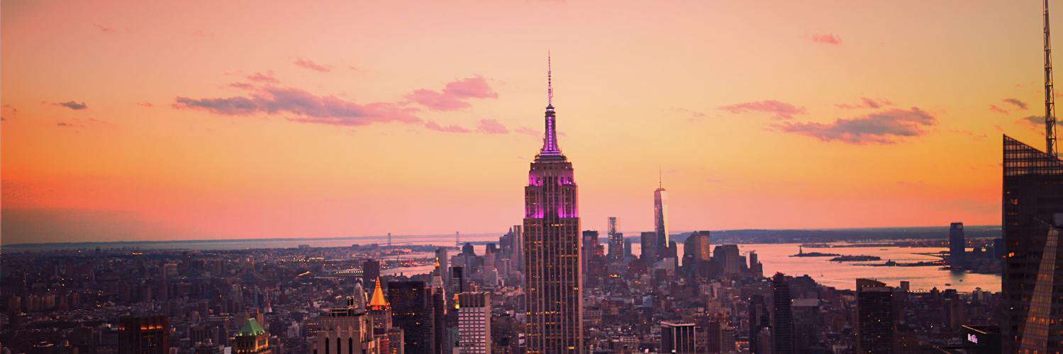 mediastinct's profile banner image