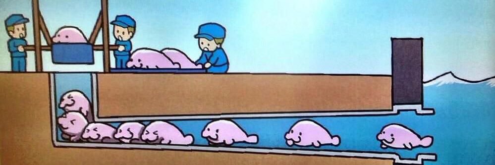 聖蹟桜ヶ丘 banner