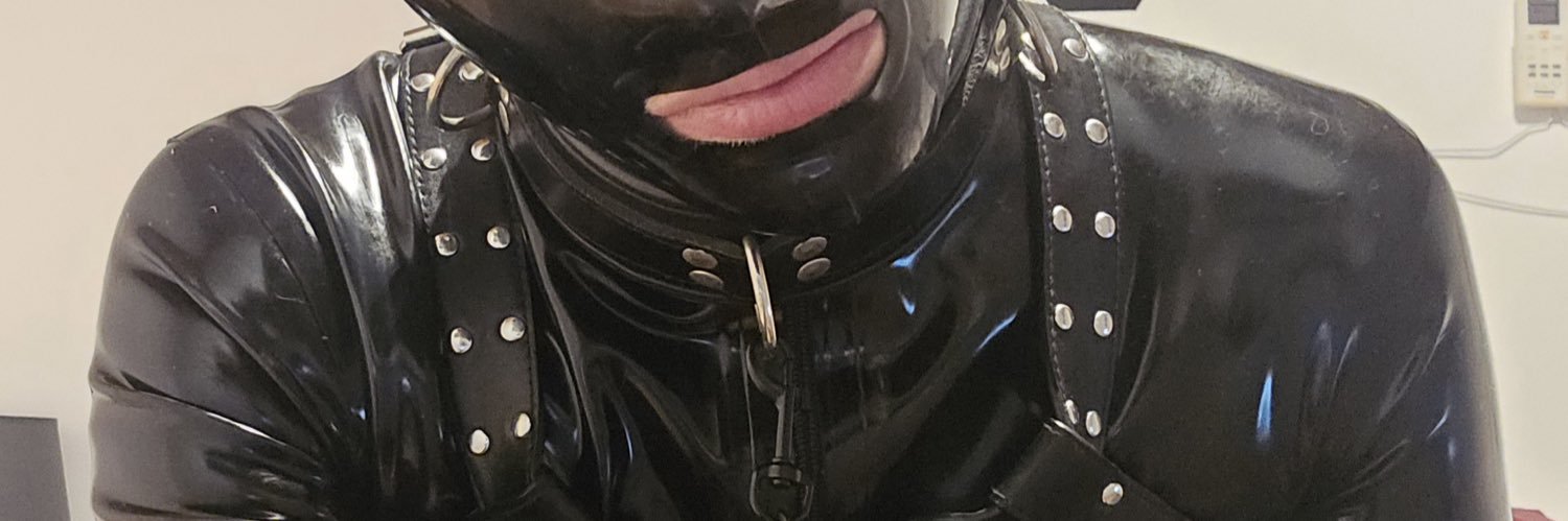 SynohGimp banner