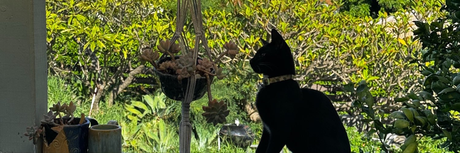 nessaxcita's profile banner image