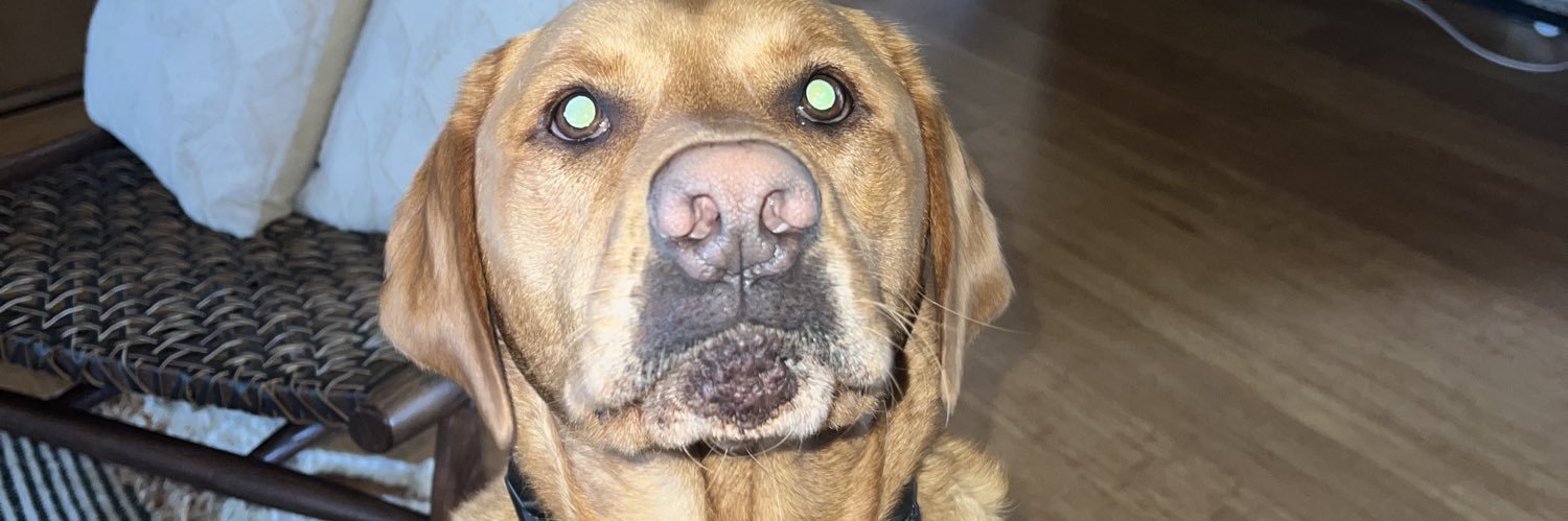 reggieunderbite's profile banner image