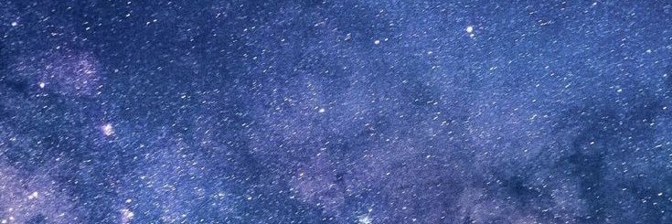 取引( ᐢ_ ̫ _ᐢ )♡ banner