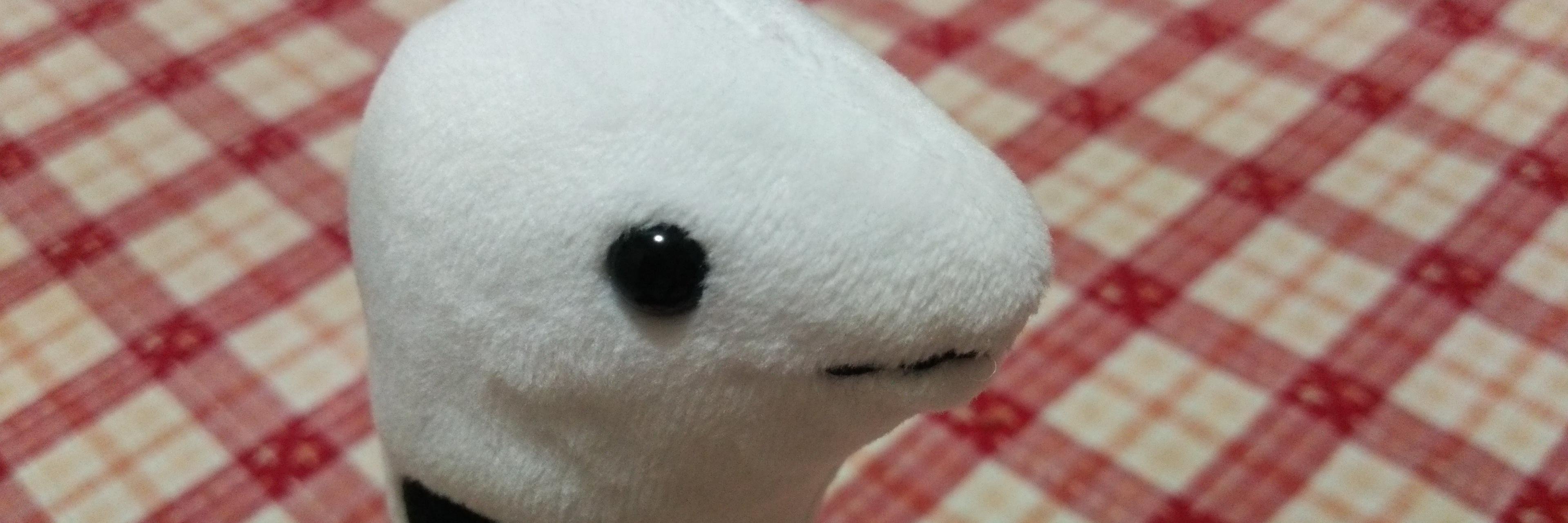 すぎすぎ banner