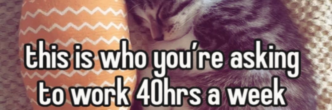 žyvčyk z xmelem🇺🇦 banner