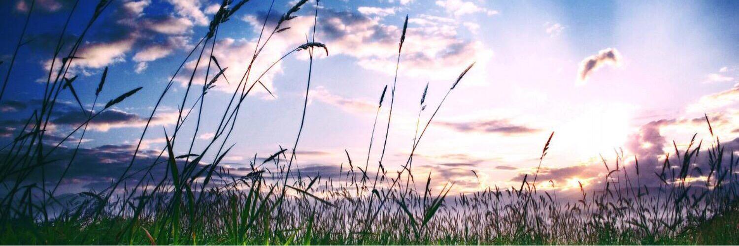 Cáitlín NíChíanáin banner