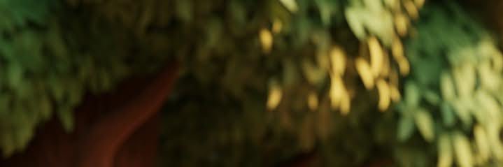 willg351's profile banner image