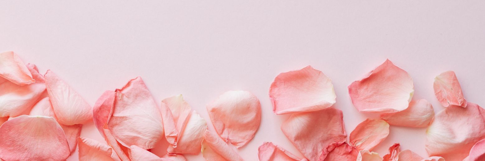 suelensbs's profile banner image