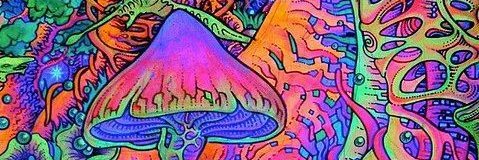 _SandiHS's profile banner image