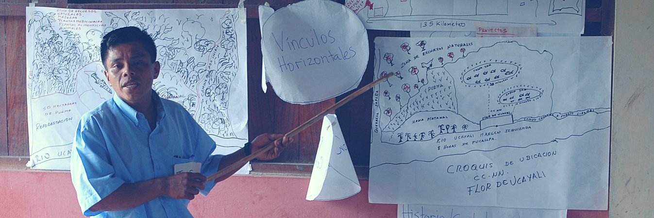 Village Earth banner