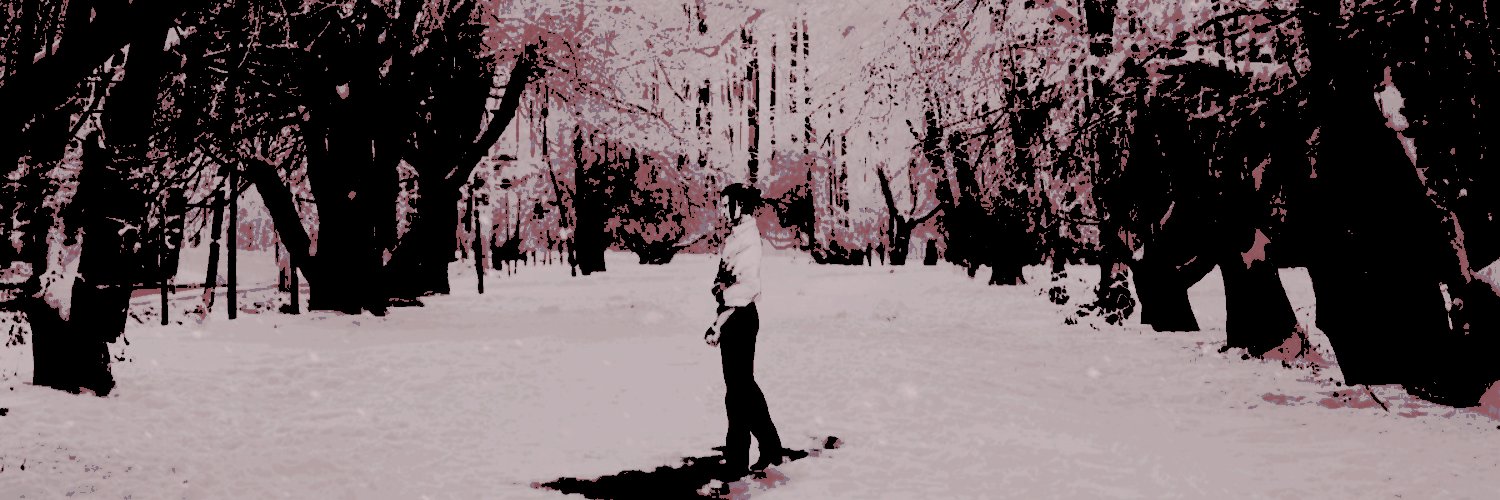 𝐓𝐇𝐄 𝐅𝐀𝐋𝐋𝐄𝐍 𝐇𝐄𝐑𝐎 𒀯｜ 夏油傑 banner