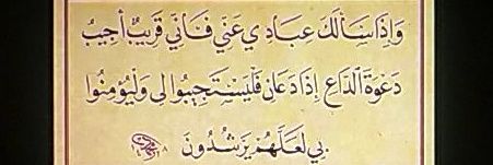راكان محمد مضنون banner