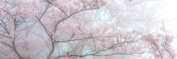 matzomad Profile Banner