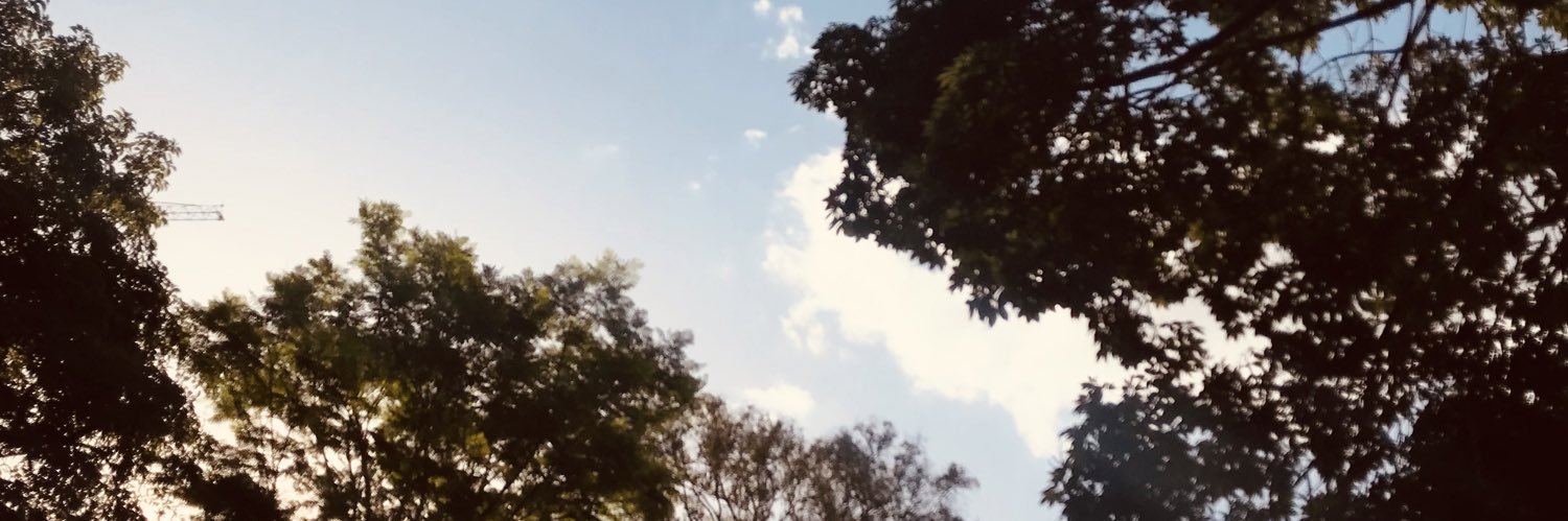 lumacielit's profile banner image