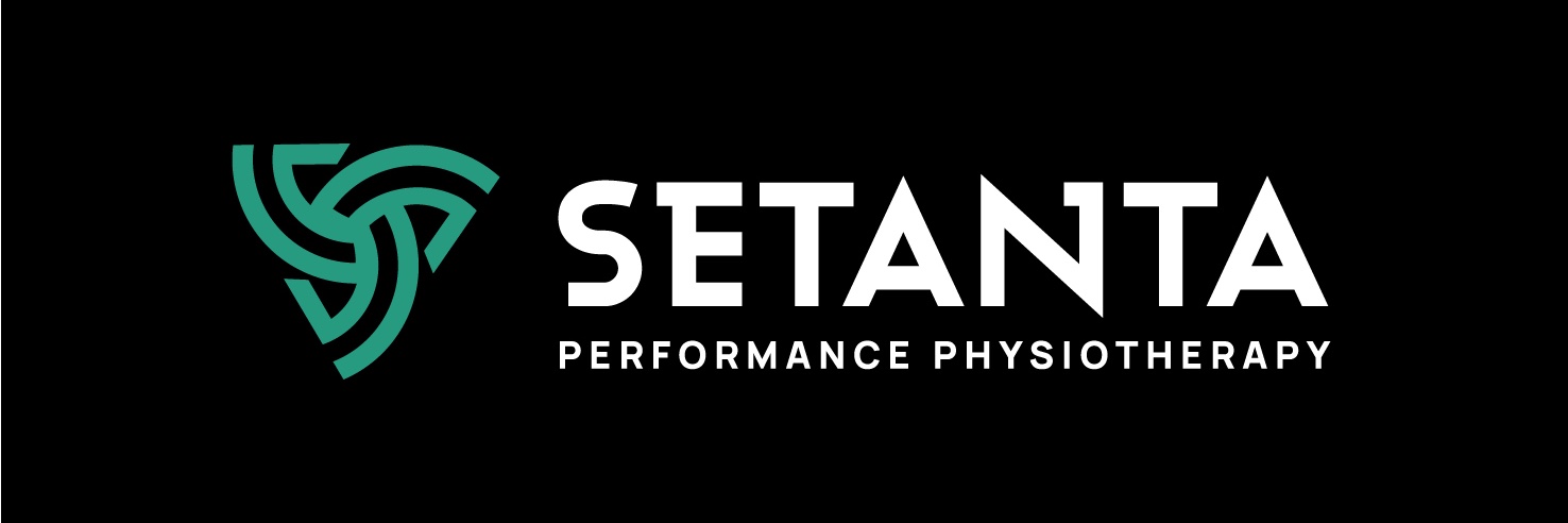Setanta Physio banner