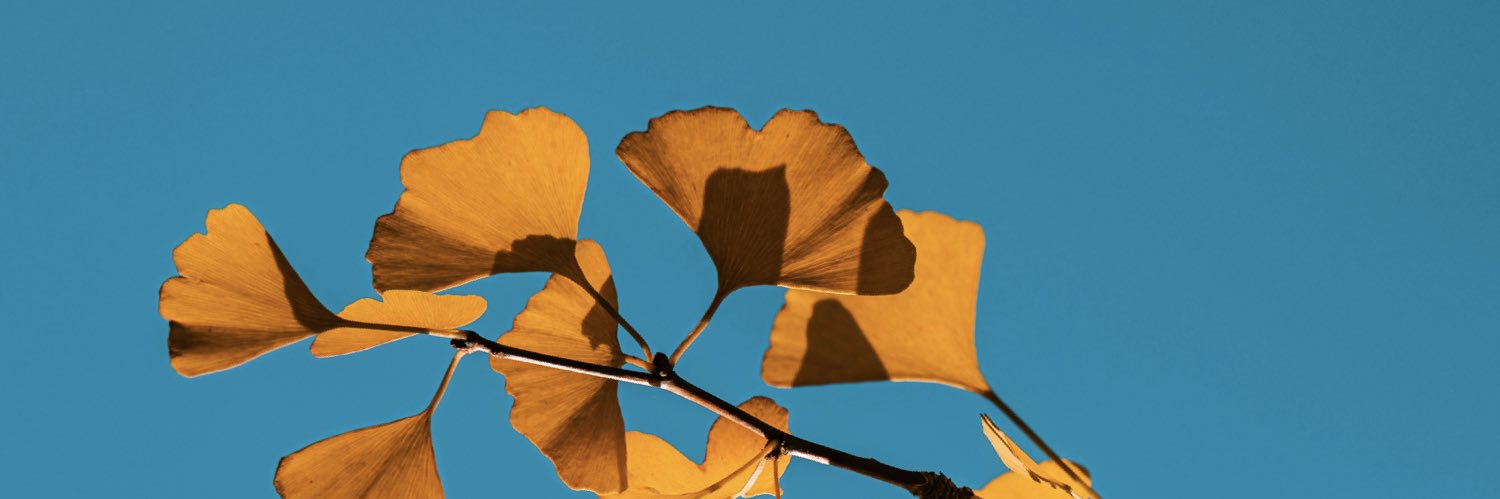 _cieryl's profile banner image