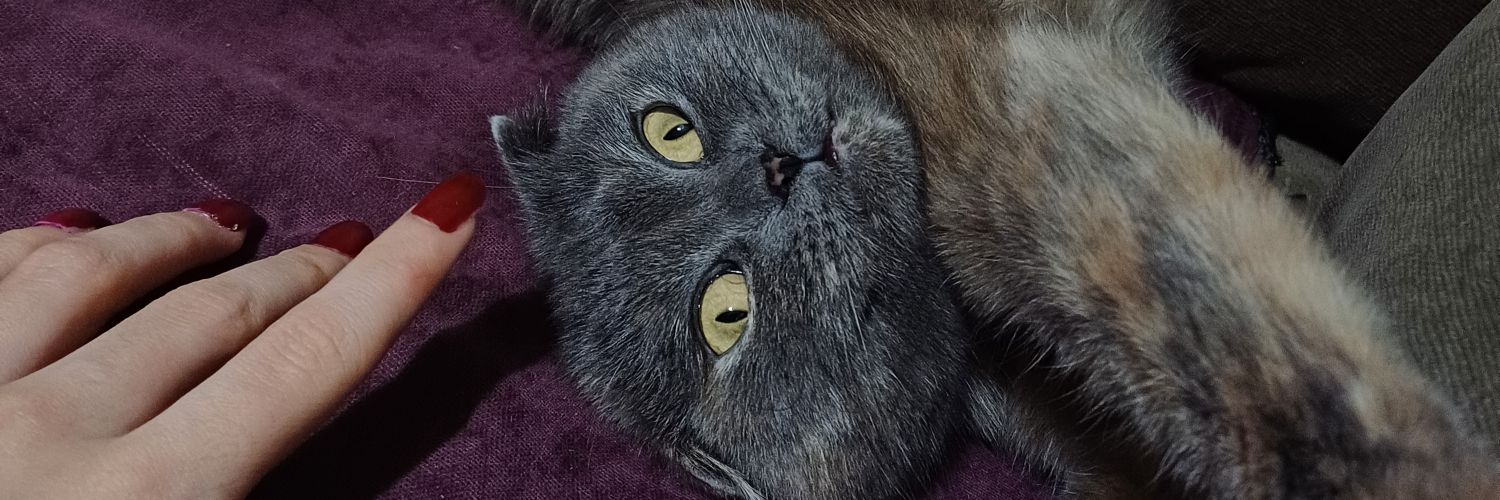 Asenaaydnn1's profile banner image