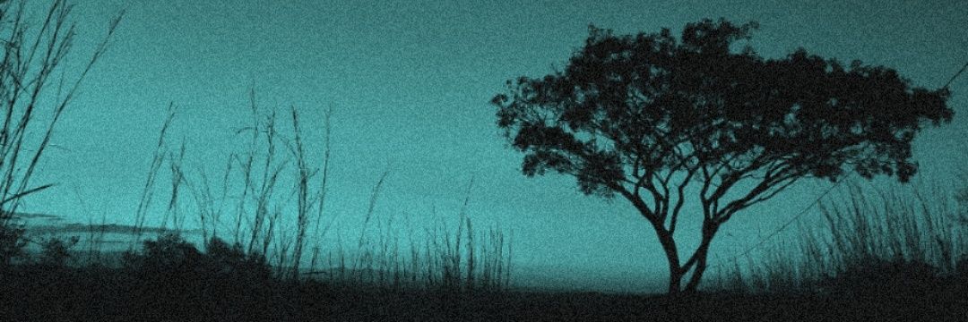 ReynolKing's profile banner image