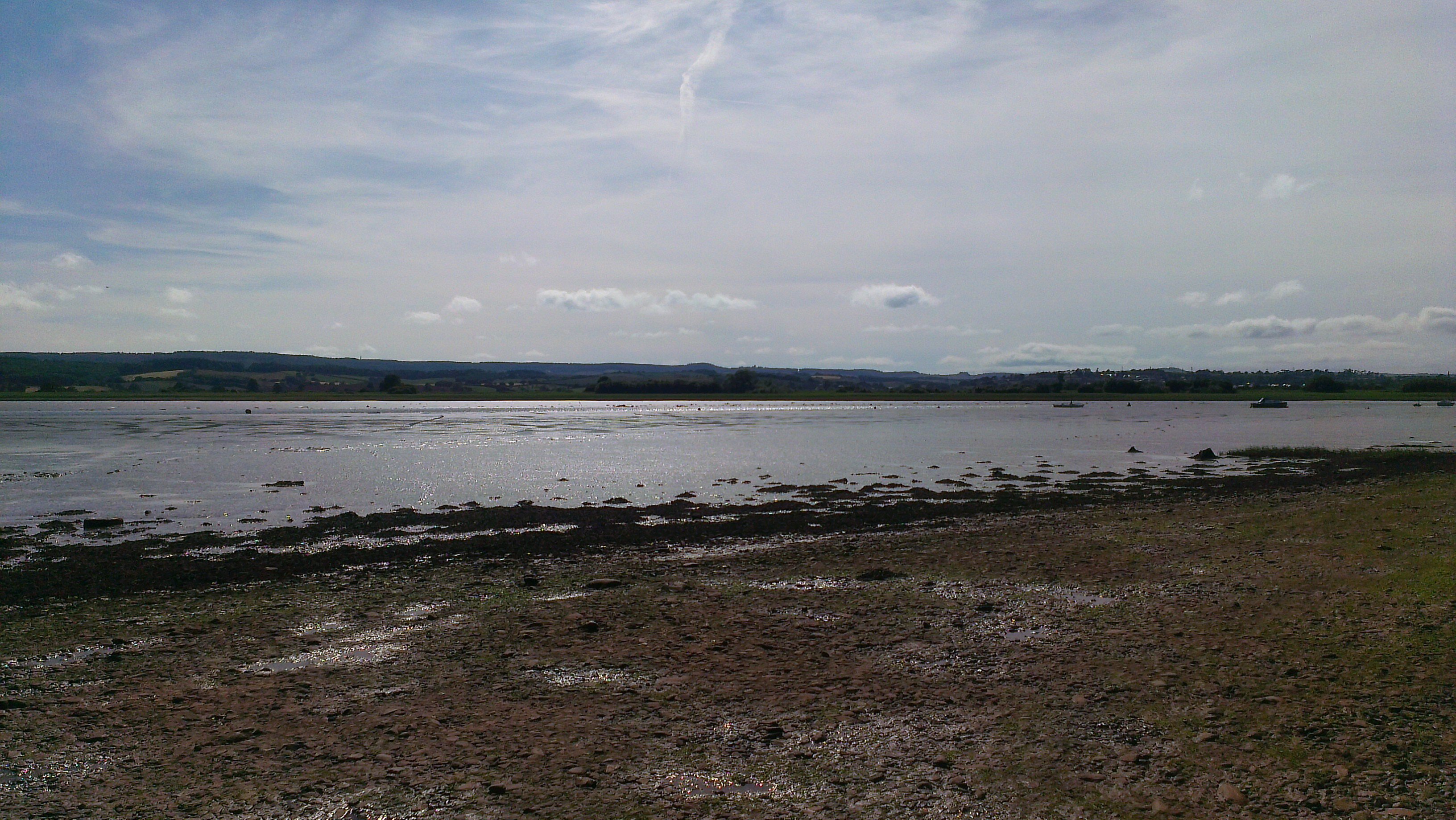 Ross Treleaven banner