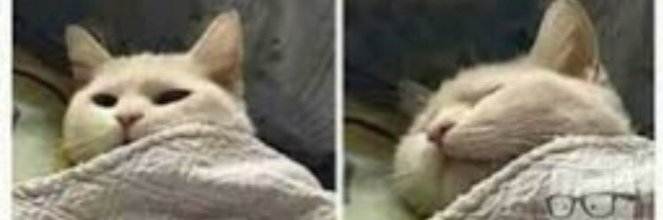 ThinkyWhisky's profile banner image