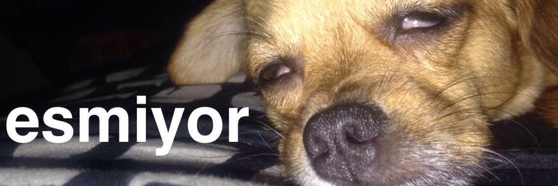 tekler banner