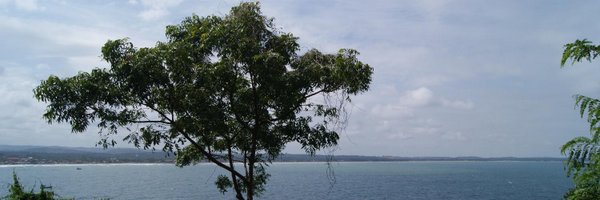 svijee Profile Banner