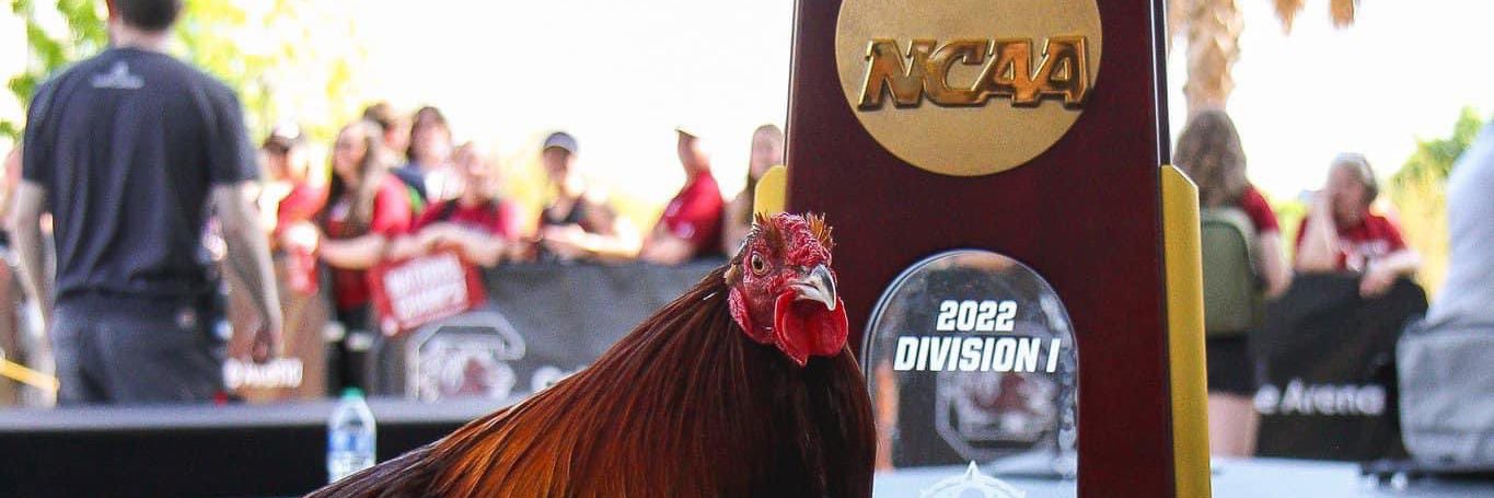 Derek Barbier banner