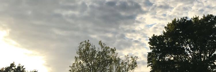 bennnn_19's profile banner image