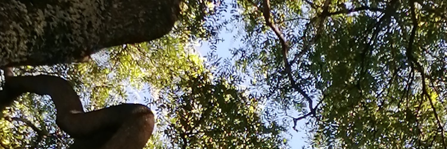 1967celeste's profile banner image