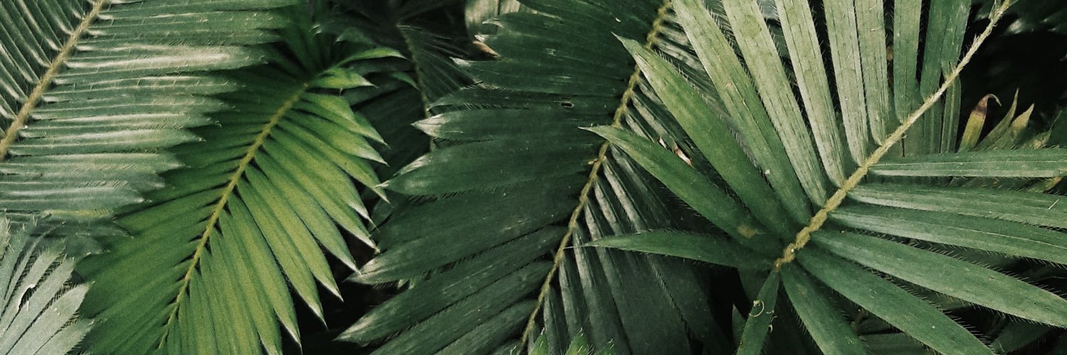 ommi_martinez's profile banner image