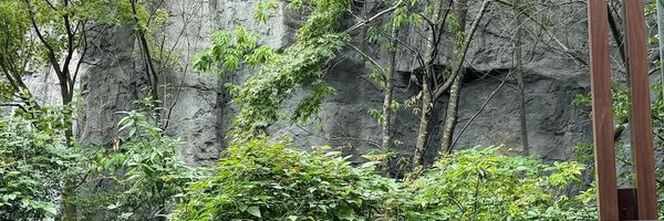 aesofstaves Profile Banner