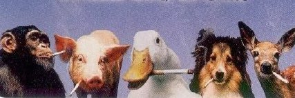Nobody banner