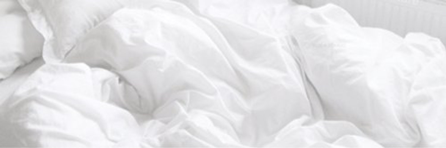 serapakgull's profile banner image