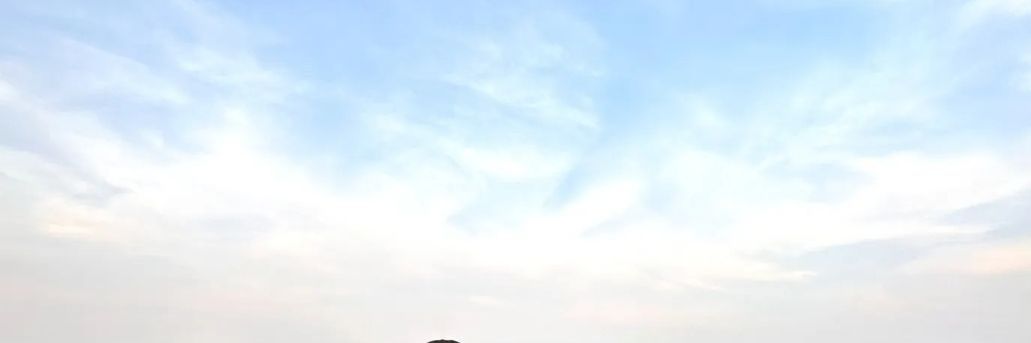 Dev Meena banner