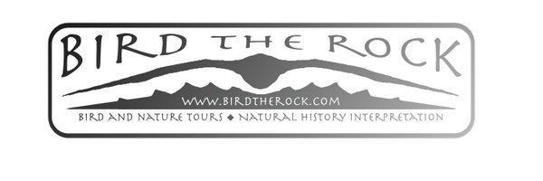 birdtherock Profile Banner