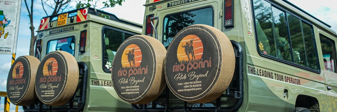 riroporini's profile banner image