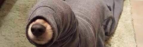 Ivanlolol's profile banner image