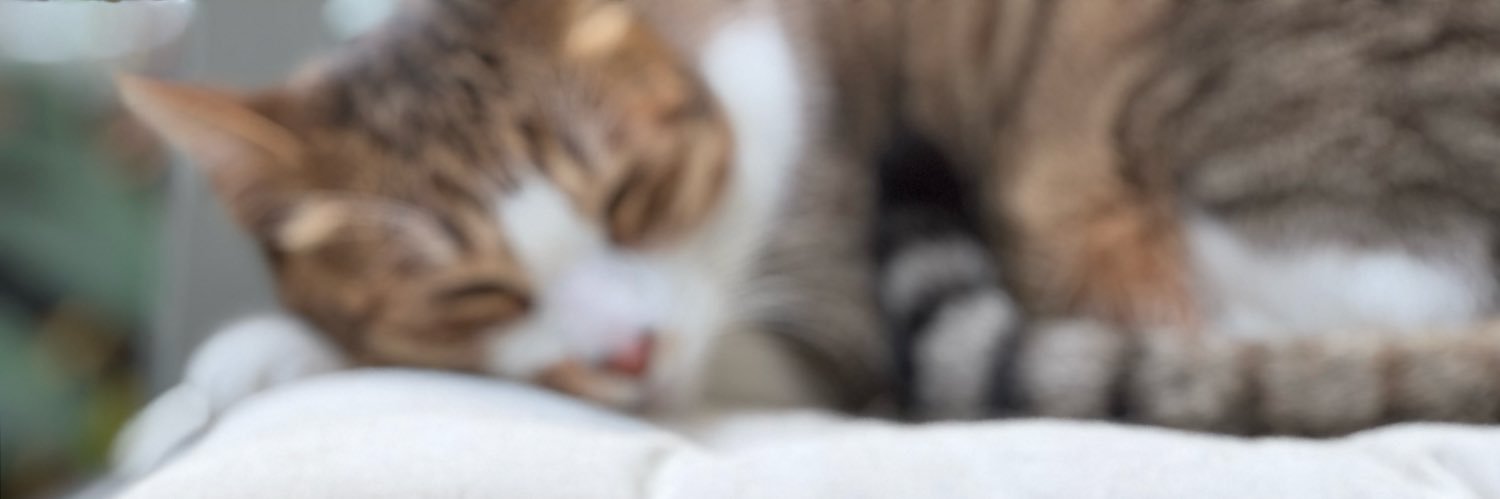 gary17_5's profile banner image