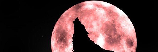 23 banner