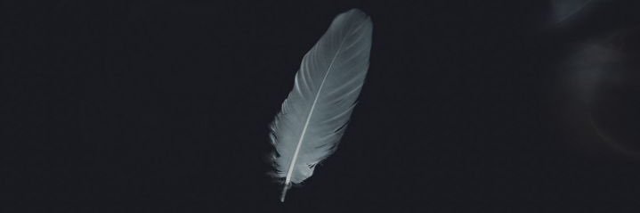 d0skr's profile banner image