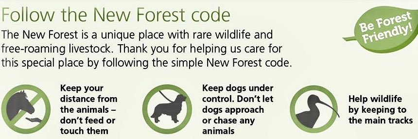 newforestpeople banner