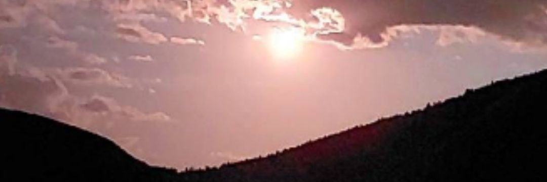 çem.100 banner