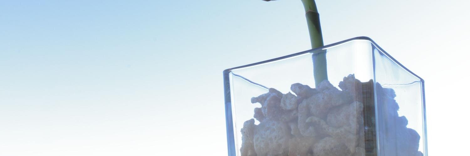 PorkDust's profile banner image