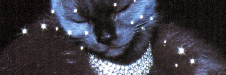 agusfacello's profile banner image
