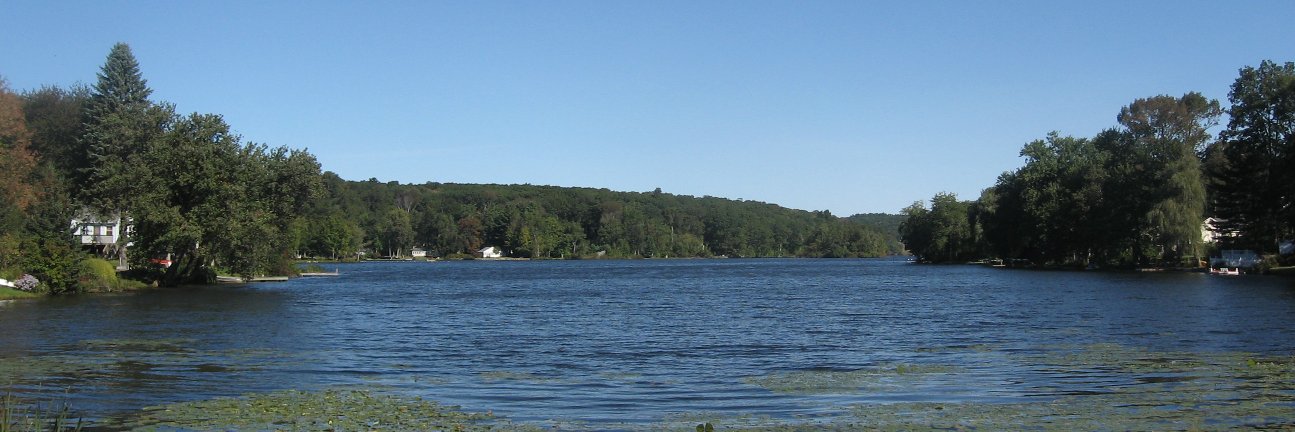 greycottage's profile banner image