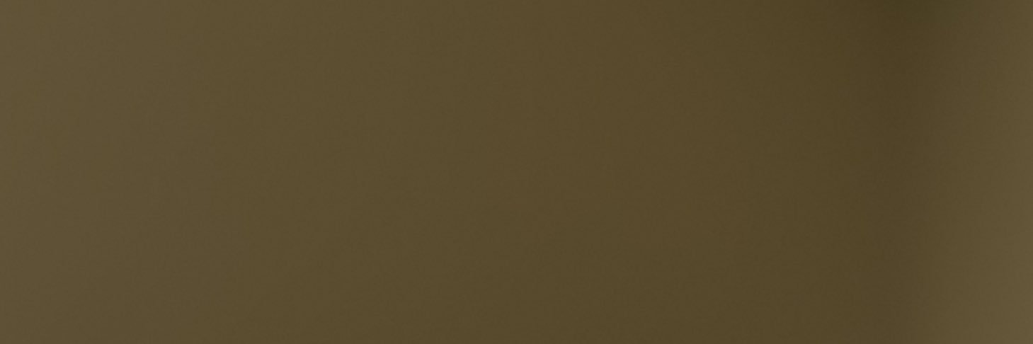 ozancanyildizz's profile banner image