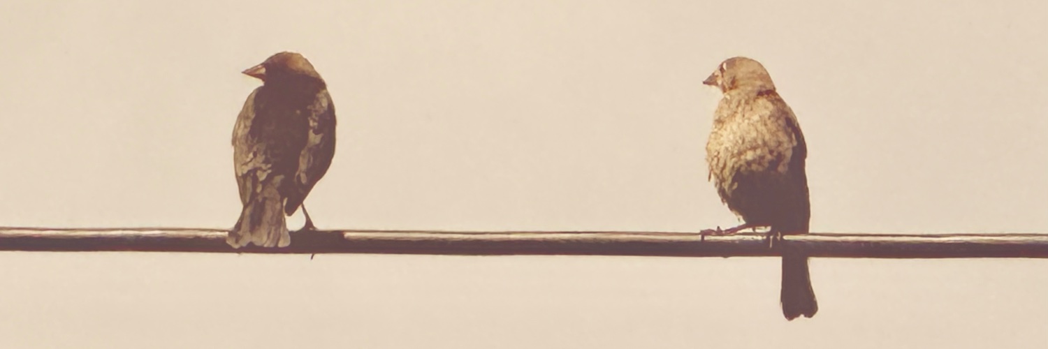 RedeemedMatthew's profile banner image
