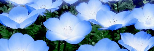 まいちゃろ banner