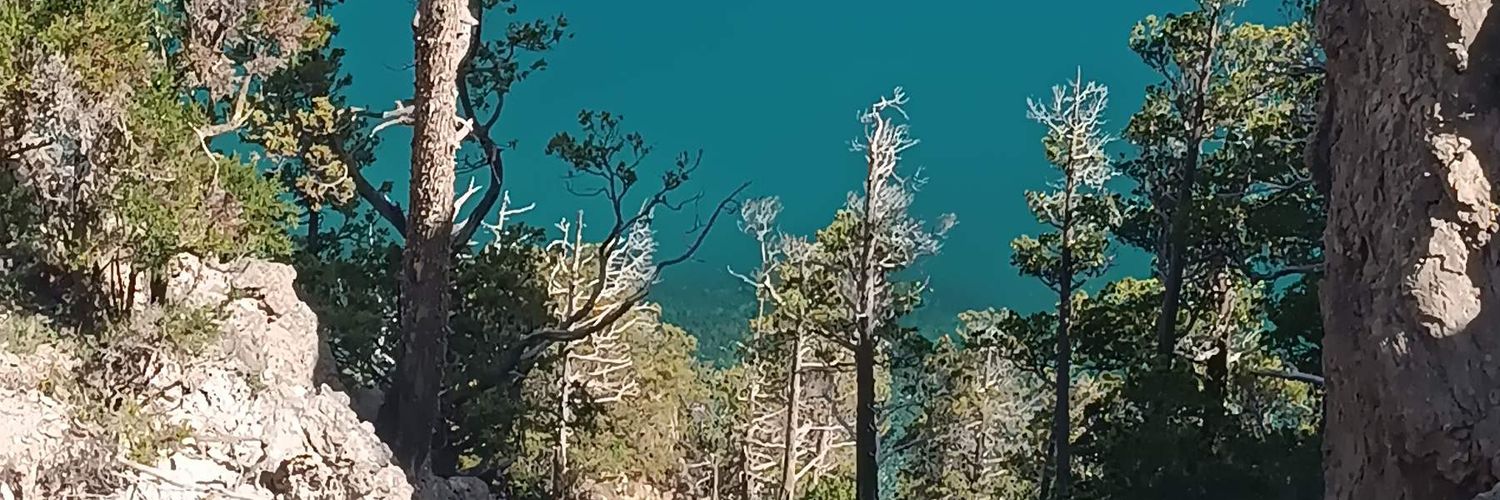 Lugancia's profile banner image